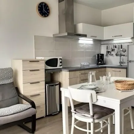 Climatise, Wifi, Animaux Admis, Parking, Proche Thermes - Fr-1-503-102